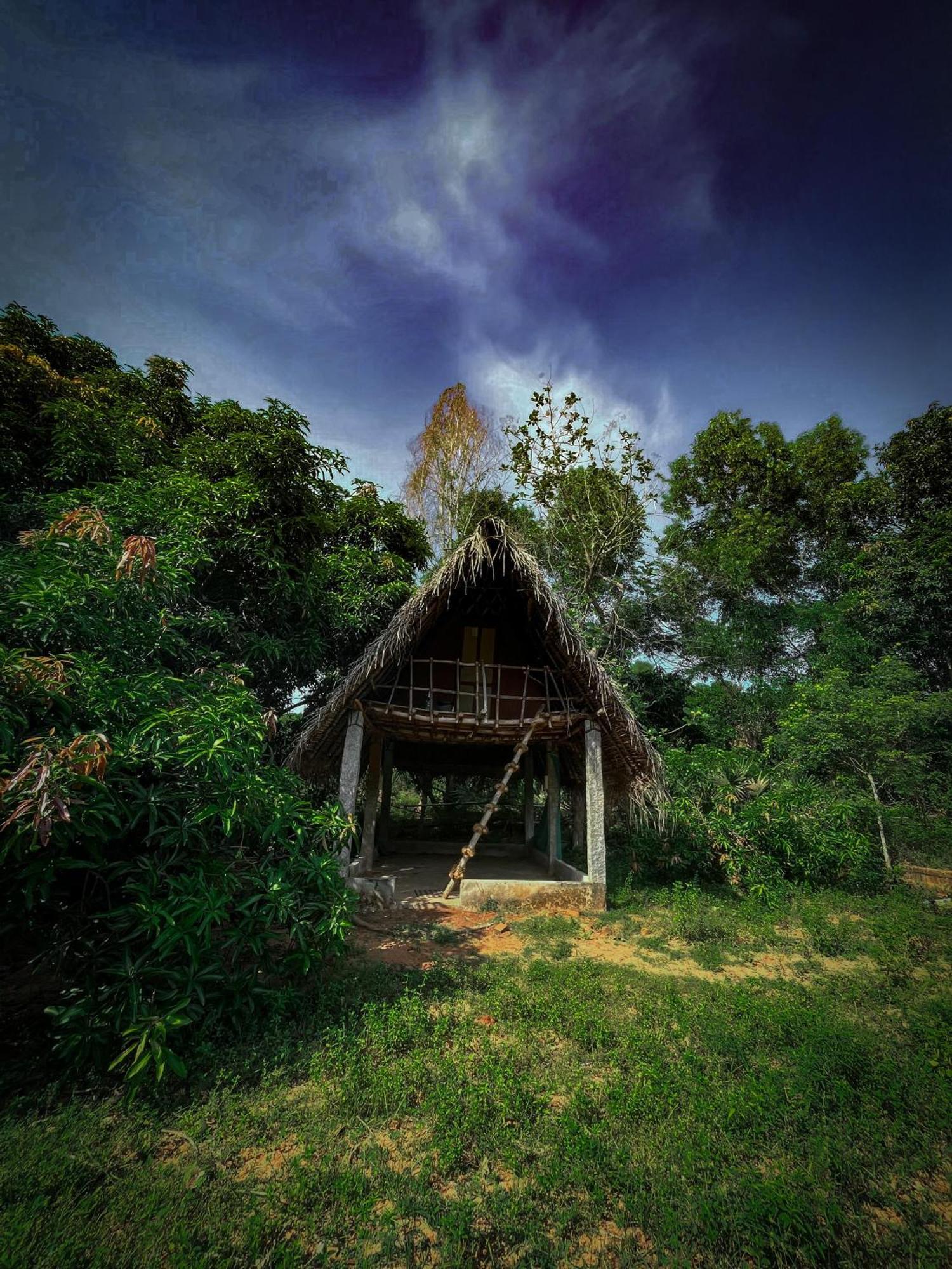 Art Forest 퐁디셰리 외부 사진