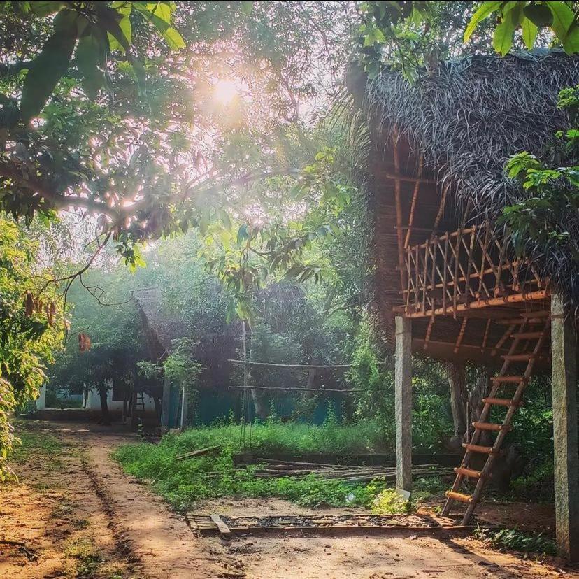 Art Forest 퐁디셰리 외부 사진