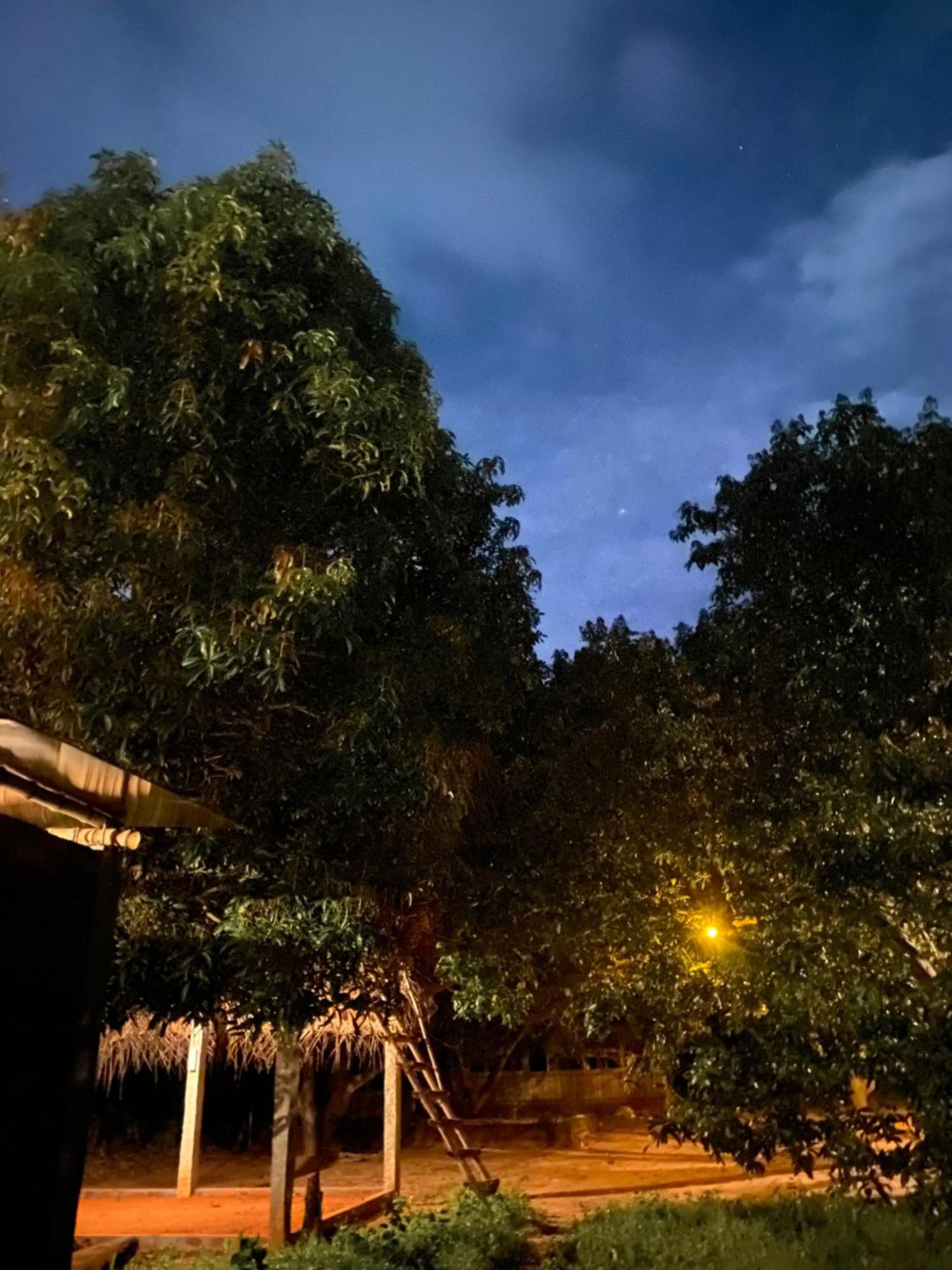 Art Forest 퐁디셰리 외부 사진